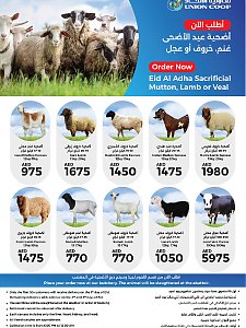 جمعية الاتحاد التعاونية - أضاحي عيد الأضحى المبارك من لحم الضأن أو الضأن أو العجل